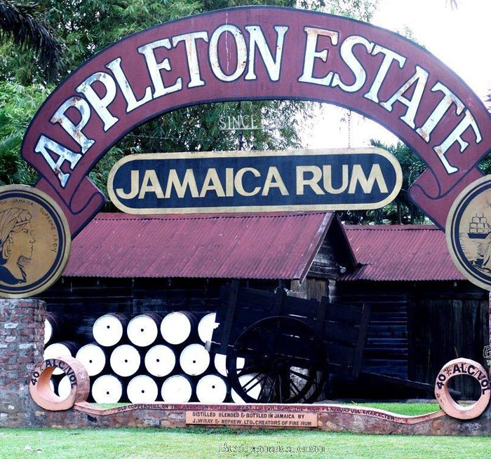 TRELAWNY Appleton Rum-Tour