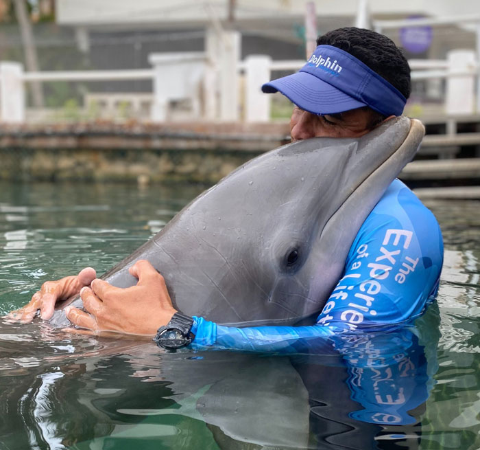 PUERTO MORELOS Dolphins Aventuras EN