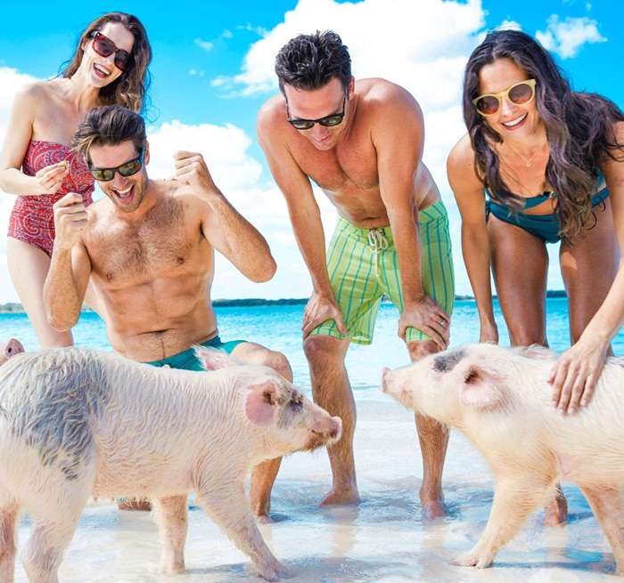 COFRESI - MAIMON Paradies & Schweine