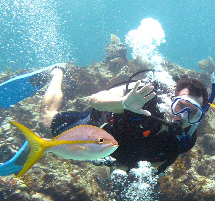 Diving excursion Dominican Republic Punta Cana - Bavaro