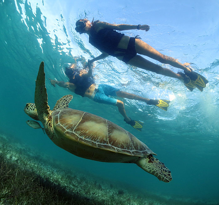 Snorkeling mexico Puerto Aventuras