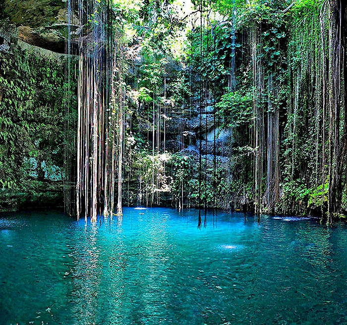 Cenote and chichen itza Book Online and Get great Deals on Most popular Tours Playa del Carmen