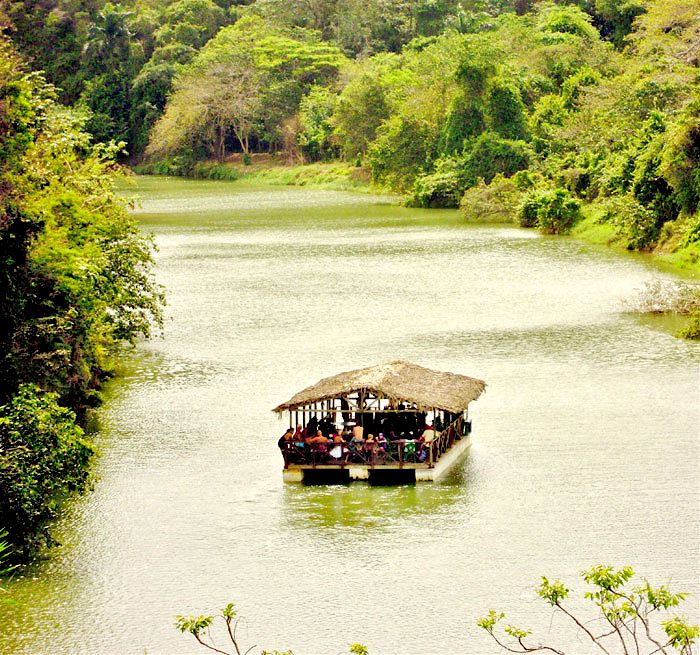 Jungle Eco Tour from La Romana, Bavaro, Bayahibe, Punta Cana, Uvero Alto - Dominican Republic
