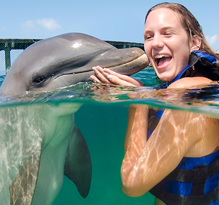 Swimming with Dolphin Punta Cana Dolphin ENCOUNTER Punta Cana - Bavaro