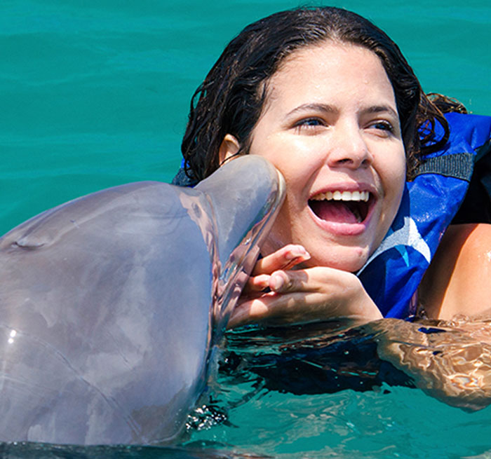 Dolphin Interaction Book Online and Get great Deals on Most popular Tours Punta Cana - Bavaro
