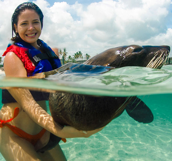 Fur Seals Book Online and Get great Deals on Most popular Tours Punta Cana - Bavaro
