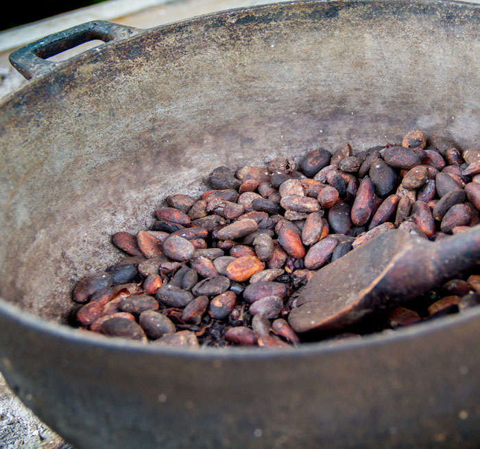 Kakao und Kaffeeplantage Punta Cana Privat Auflug Ausflug Dominikanische Republik Punta Cana - Bavaro