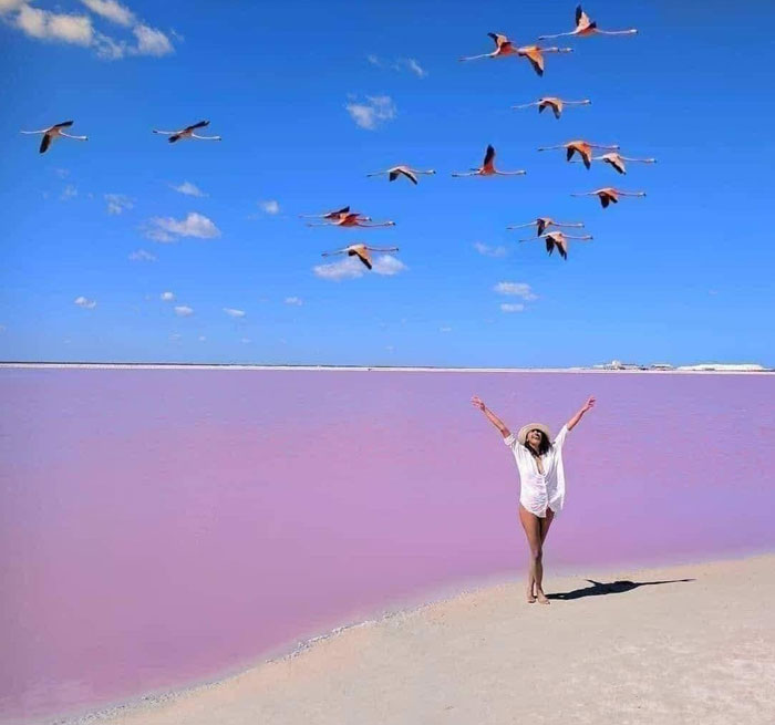 Pink Lakes Day Adventure Las Coloradas PINK LAKES Rio Lagartos