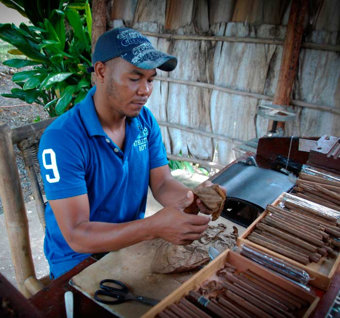 Punta Cana Kakao und Kaffeeplantage, Private Tour, Land und Leute Entdecken Sie Kultur from Bavaro, Uvero Alto, Punta Cana - Dominican Republic