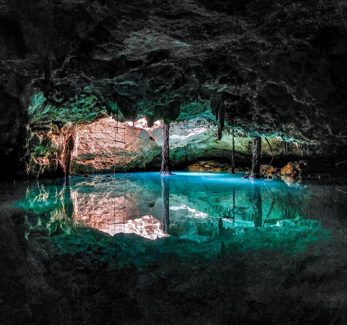 Cenote Chen-Ha Reserve Online Ofertas en las Excursiones Más Populares Tulum