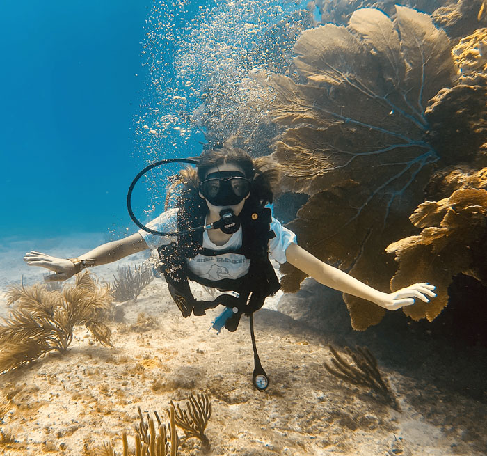 PLAYA MUJERES Discover Scuba Diving