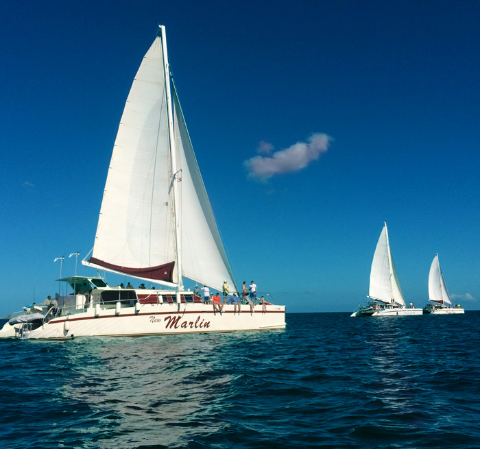 Navegación al atardecer, esnórquel, animales, naturaleza, bebidas, catamaran Sunset Sailing from Playa del Coco, Tamarindo, Playa Flamingo, Playa Conchal, Playa Hermosa ... - Costa Rica
