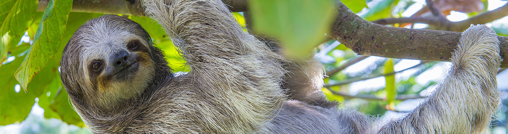 Manuel Antonio / Quepos Adventures Costa Rica